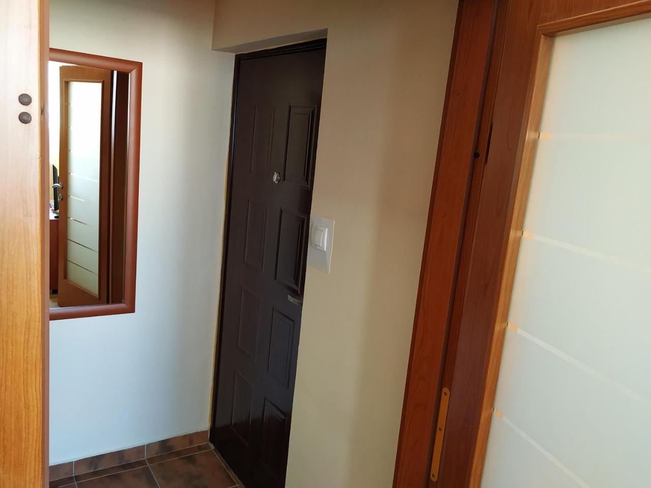 Apartment Dora Podgorica Bagian luar foto